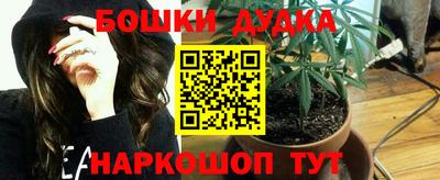 прущие грибы Новокубанск
