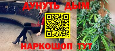 mdpv Новодвинск