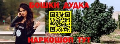 mdpv Новодвинск