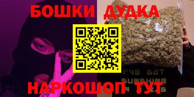 mdpv Новодвинск